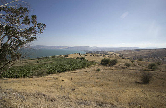 Hill Side from Atop the Mt. of Beatitudes