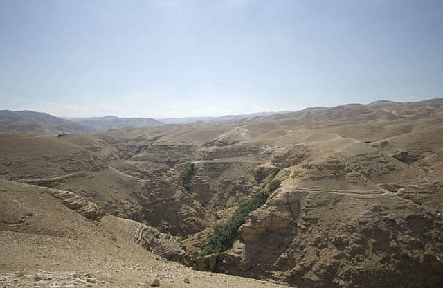 Judean Wilderness