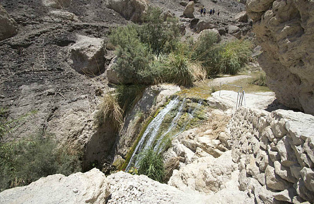 En Gedi Stream