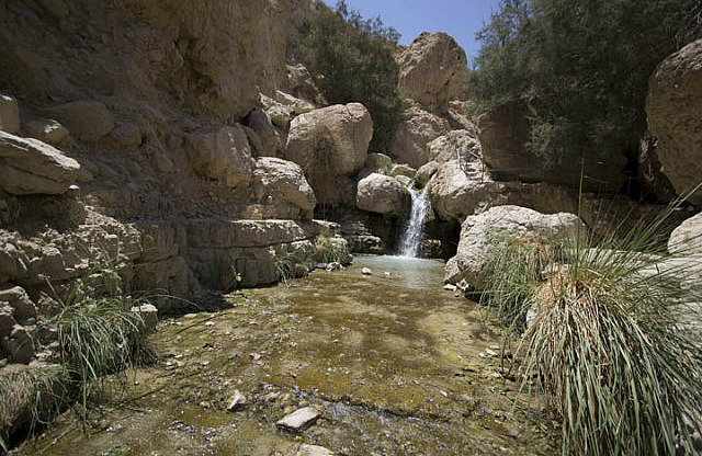 En Gedi Stream