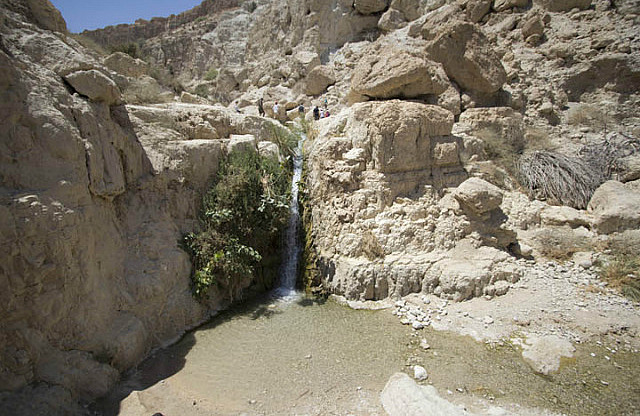 En Gedi Stream
