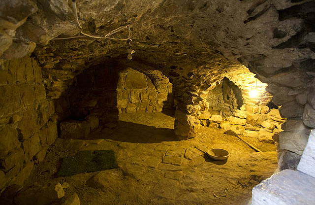 Basement Storage Room for Animals