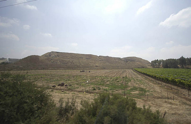 Lachish