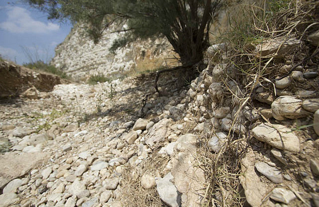 Brook in the Valley of Elah