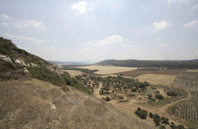 Valley of Elah