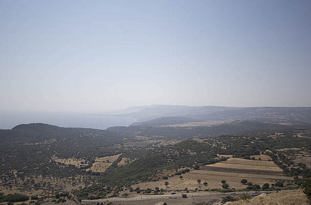 Looking North Up the Coast